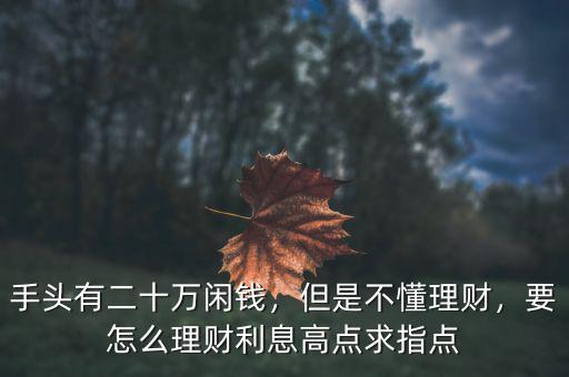 手頭有二十萬閑錢，但是不懂理財，要怎么理財利息高點求指點