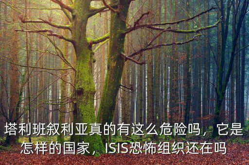 塔利班敘利亞真的有這么危險嗎，它是怎樣的國家，ISIS恐怖組織還在嗎