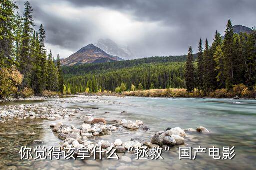 拿什么拯救你中國游客,你覺得該拿什么拯救國產(chǎn)電影