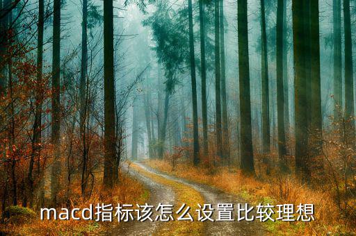 macd指標該怎么設置比較理想