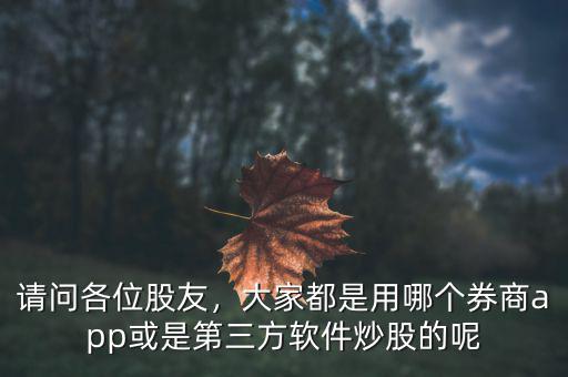 請(qǐng)問(wèn)各位股友，大家都是用哪個(gè)券商app或是第三方軟件炒股的呢