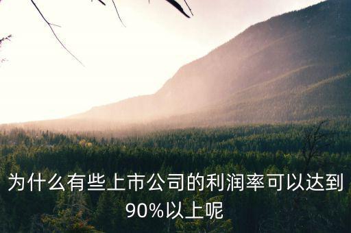 為什么有些上市公司的利潤(rùn)率可以達(dá)到90%以上呢