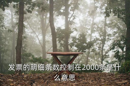 發(fā)票明細什么意思，發(fā)票的明細條數(shù)控制在2000條是什么意思