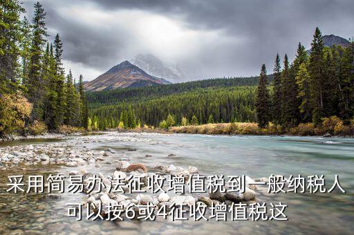 什么是簡(jiǎn)易征收辦法征收增值稅，采用簡(jiǎn)易辦法征收增值稅到一般納稅人可以按6或4征收增值稅這