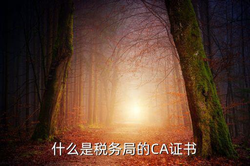 什么是稅務(wù)局的CA證書