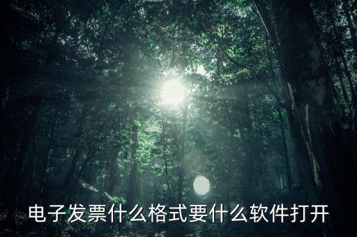 電子發(fā)票什么格式要什么軟件打開