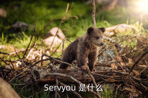 servyou是什么意思，Servyou 是什么