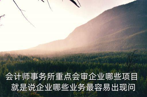 會(huì)計(jì)師事務(wù)所重點(diǎn)會(huì)審企業(yè)哪些項(xiàng)目 就是說(shuō)企業(yè)哪些業(yè)務(wù)最容易出現(xiàn)問(wèn)