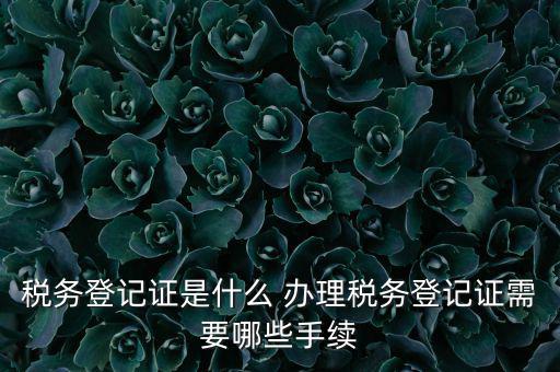 地稅局登記是什么，地稅辦理稅務(wù)登記需要哪些資料