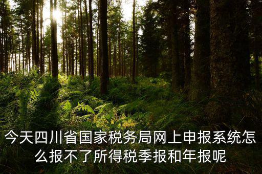 今天四川省國家稅務局網上申報系統怎么報不了所得稅季報和年報呢