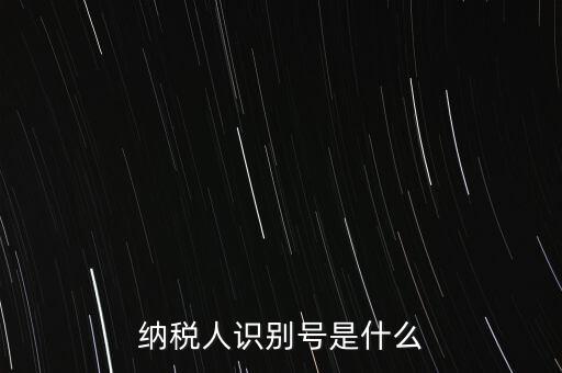 電子稅務(wù)局納稅人識別號是什么，納稅人識別號是什么