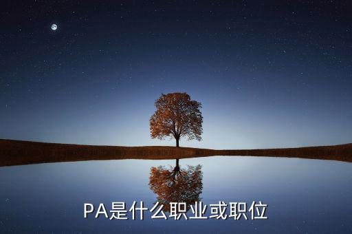 河南省國稅局陳紅偉什么職務(wù)，PA是什么職業(yè)或職位