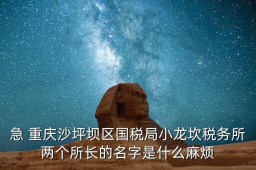 稅務所所長什么級別，地稅局基層稅務所屬什么層級