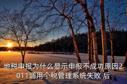 地稅申報為什么顯示申報不成功原因2011調(diào)用個稅管理系統(tǒng)失敗 后