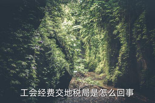 工會(huì)經(jīng)費(fèi)交地稅局是怎么回事