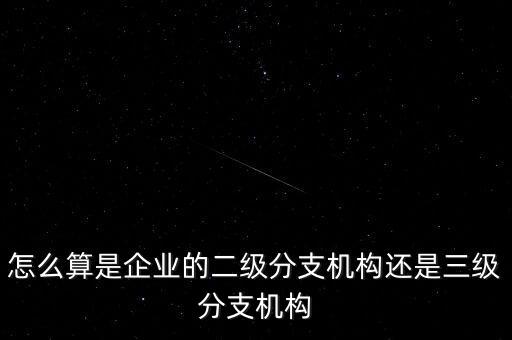 什么叫企業(yè)二級分支機構(gòu)，現(xiàn)在分公司要辦稅務登記證但是我想問一下二級分機構(gòu)指的是