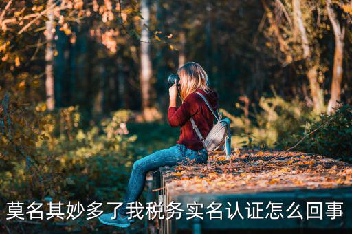 莫名其妙多了我稅務(wù)實名認(rèn)證怎么回事