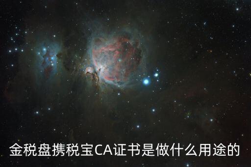 稅友的ca是什么，什么是稅務局的CA證書