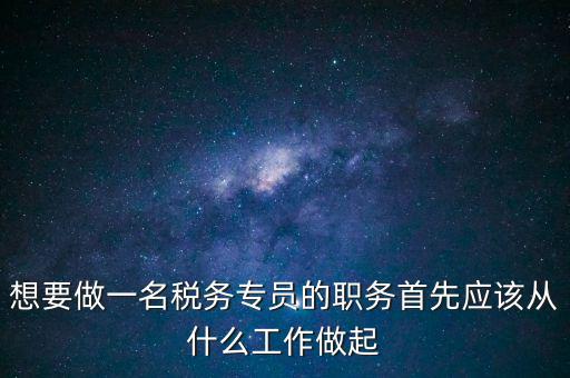 稅務專員是做什么的，稅務坐席專員做什么