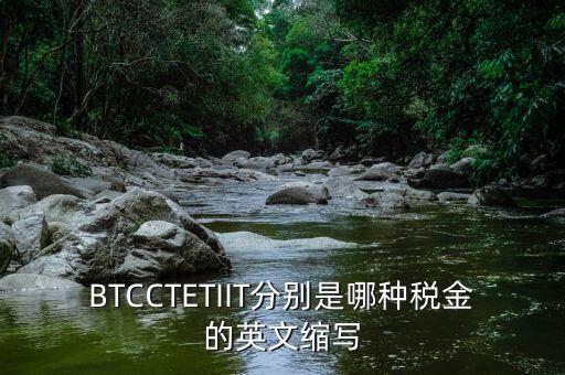 bt 是什么稅，BTCCTETIIT分別是哪種稅金的英文縮寫