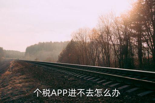 個(gè)稅APP進(jìn)不去怎么辦