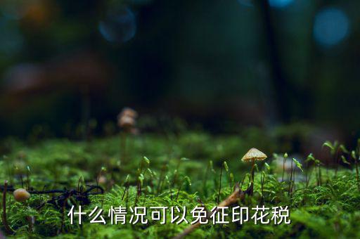 印花稅免稅是什么政策規(guī)定，什么情況可以免征印花稅