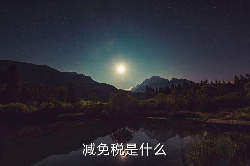 減免稅是什么