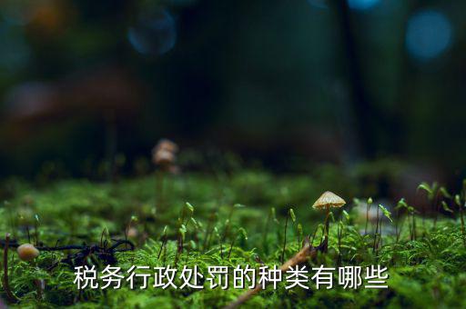 涉稅行政處罰包括什么，什么叫稅務(wù)行政處罰當(dāng)事人