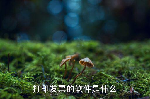 p發(fā)票用什么軟件，我想p一下發(fā)票的內(nèi)容要哪個軟件好