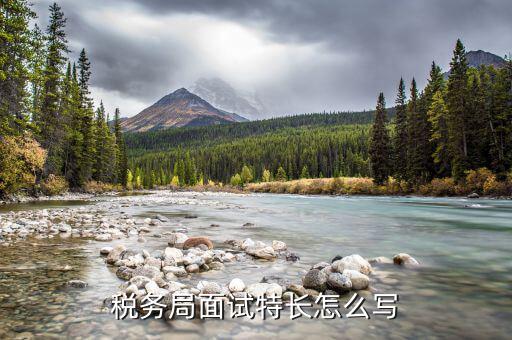 稅務(wù)局看重什么特長(zhǎng)，稅務(wù)局面試特長(zhǎng)怎么寫