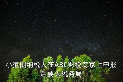 財稅專家是報什么稅，小范圍納稅人在ABC財稅專家上申報后要去稅務(wù)局