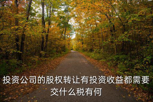 投資公司要交什么稅，投資集團公司如何繳稅