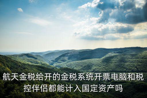 金稅為什么給中軟做，航天金稅給開的金稅系統(tǒng)開票電腦和稅控伴侶都能計入國定資產嗎