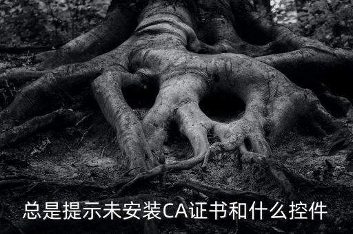 ca控件是什么意思，您是地稅CA用戶但未安裝企業(yè)CA控件為不影響申報功能正常使用請點