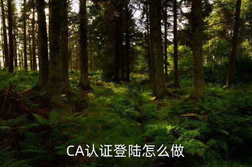 CA認(rèn)證登陸怎么做