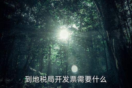 到地稅局開(kāi)發(fā)票需要什么