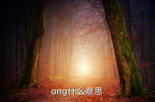 發(fā)票ong什么意思，ong什么意思