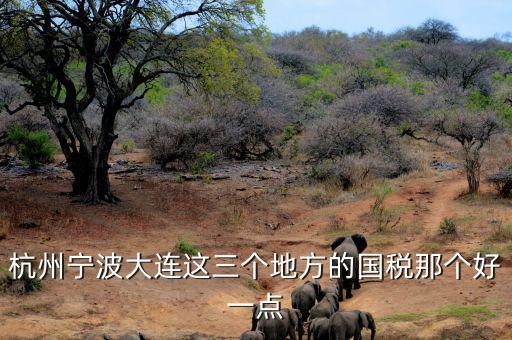 杭州寧波大連這三個地方的國稅那個好一點