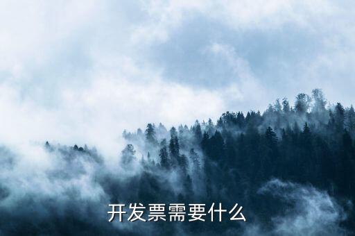 正式發(fā)票要什么手續(xù)，公司開發(fā)票需要什么手續(xù)