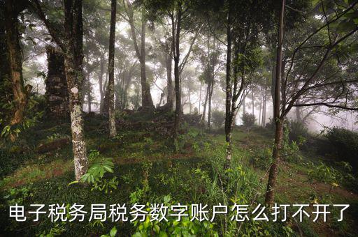 為什么電子地方稅務局進不去，網(wǎng)上稅務局怎么登錄不進去