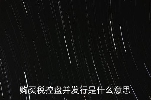 購(gòu)買稅控盤(pán)并發(fā)行是什么意思