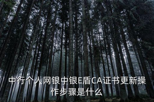 升級ca需要什么，CA證書怎么從副盤升級成正盤