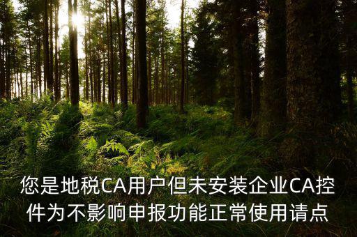 您是地稅CA用戶但未安裝企業(yè)CA控件為不影響申報功能正常使用請點