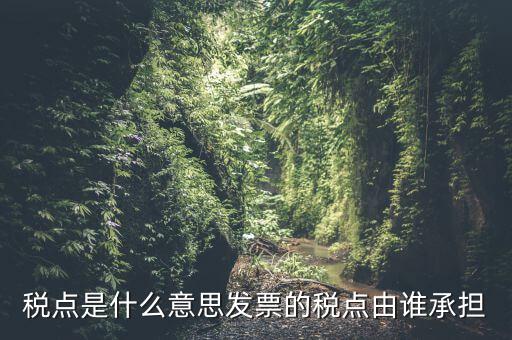 稅點由什么決定，稅點是什么意思