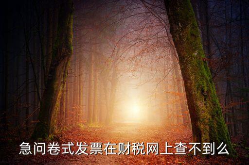 急問(wèn)卷式發(fā)票在財(cái)稅網(wǎng)上查不到么