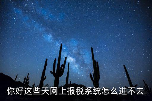 為什么個稅系統(tǒng)打不開，你好這些天網(wǎng)上報稅系統(tǒng)怎么進不去