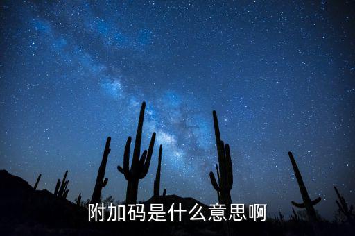 遼寧查發(fā)票有一個(gè)附加碼是什么，發(fā)票真?zhèn)尾樵兇a是什么