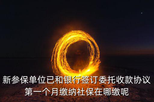 什么時候辦理授權劃繳協(xié)議，如何取得委托銀行劃轉(zhuǎn)地方稅費授權書協(xié)議書去銀行還是去地稅