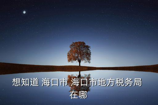 海南省國家稅務(wù)局在什么地方，想知道 海口市 ?？谑械胤蕉悇?wù)局 在哪