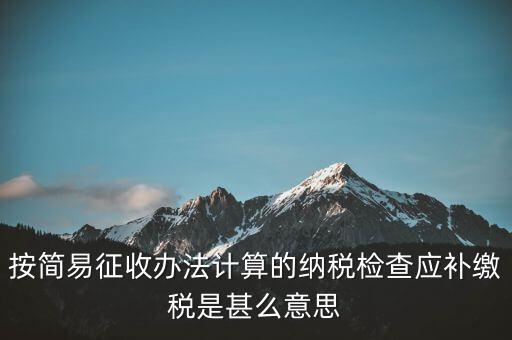 簡(jiǎn)易征收什么意思，按簡(jiǎn)易征收辦法計(jì)算的納稅檢查應(yīng)補(bǔ)繳稅是甚么意思